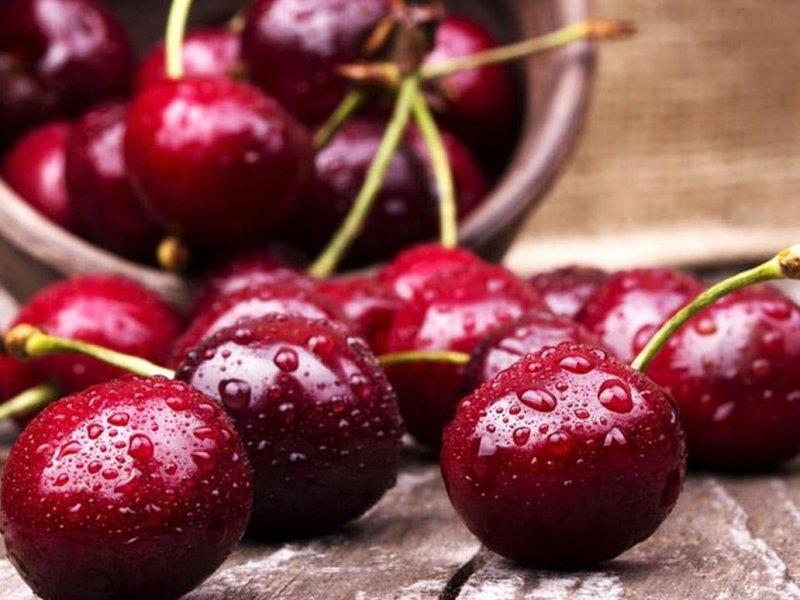 Вишня купить саженцы из питомника в Алчевске